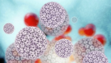 WHAT IS HPV